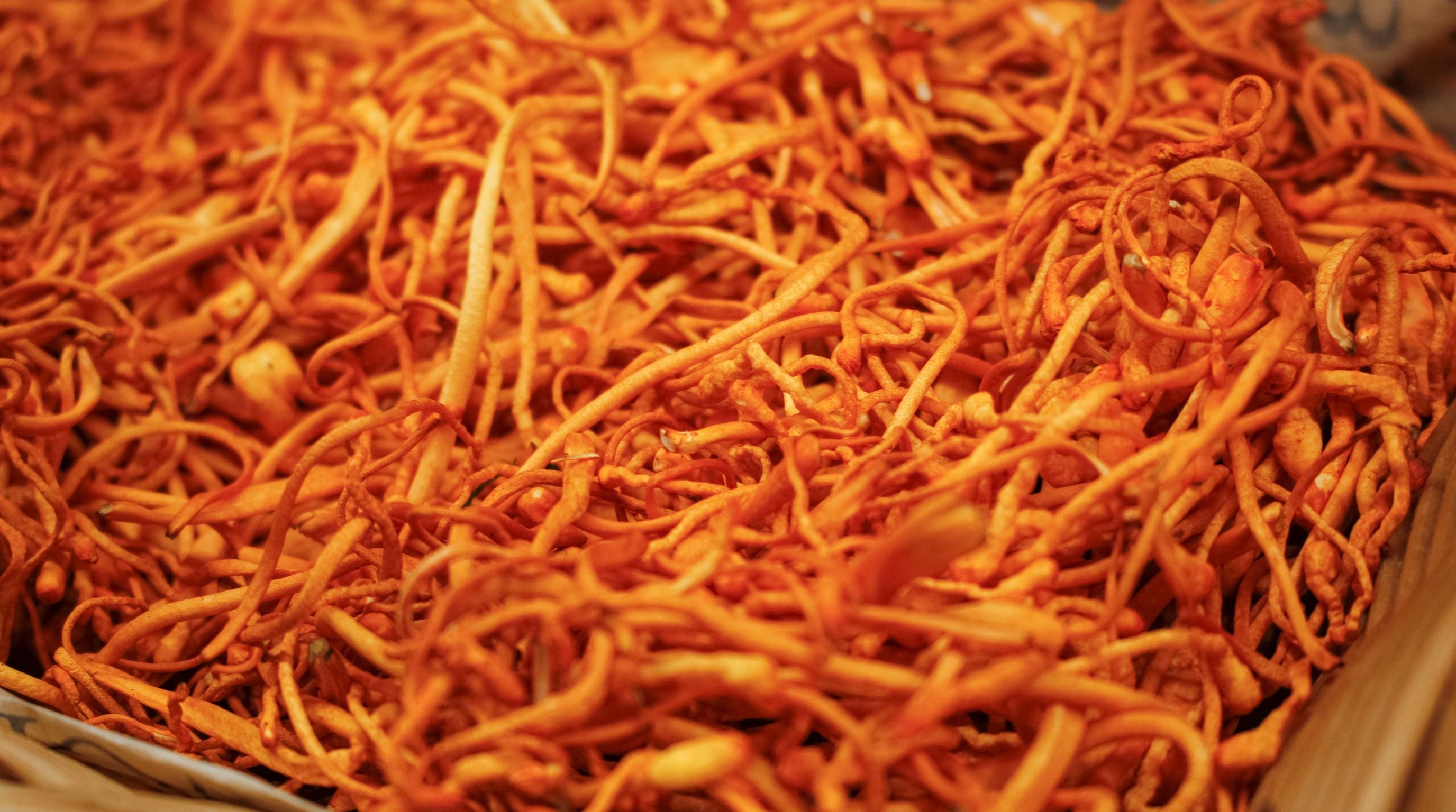 Kordyceps: Naturalne paliwo dla Twojego ciała i umysłu